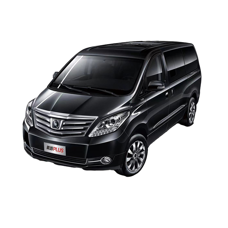 Forthing Lingzhi Plus